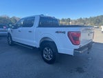 2023 F-150 Thumbnail 5
