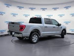 2021 F-150 Thumbnail 4