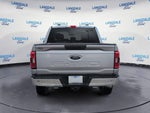 2021 F-150 Thumbnail 8