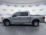 2021 F-150 Thumbnail 10