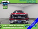 2021 F-150 Thumbnail 6