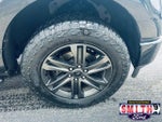 2021 F-150 Thumbnail 12