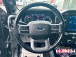 2021 F-150 Thumbnail 24