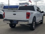 2022 F-150 Thumbnail 6