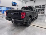 2022 F-150 Thumbnail 5
