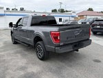 2022 F-150 Thumbnail 4