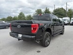 2022 F-150 Thumbnail 5