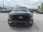 2022 F-150 Thumbnail 8
