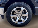 2022 F-150 Thumbnail 8
