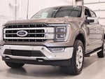 2023 F-150 Thumbnail 6