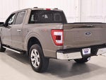 2023 F-150 Thumbnail 8