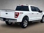 2023 F-150 Thumbnail 2