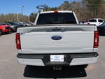 2023 F-150 Thumbnail 7