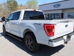2023 F-150 Thumbnail 8
