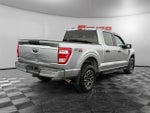 2023 F-150 Thumbnail 5