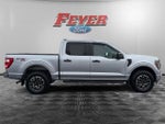 2023 F-150 Thumbnail 6