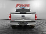 2023 F-150 Thumbnail 4