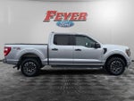2023 F-150 Thumbnail 6