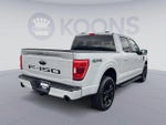 2023 F-150 Thumbnail 5