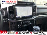 2023 F-150 Thumbnail 9