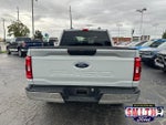 2023 F-150 Thumbnail 4
