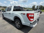 2023 F-150 Thumbnail 5