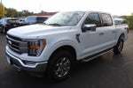 2023 F-150 Thumbnail 8