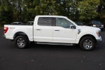 2023 F-150 Thumbnail 14