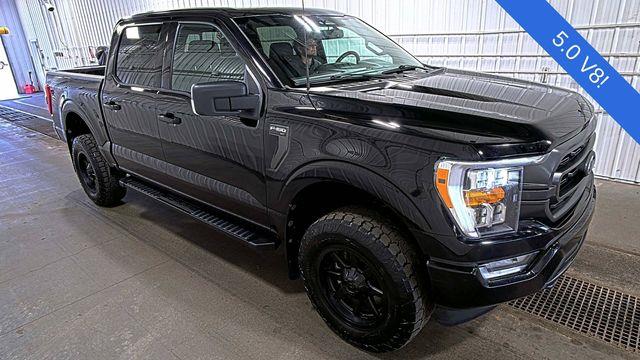 Preowned 2023 Ford F-150 XL for Sale
