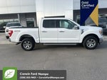2023 F-150 Thumbnail 10