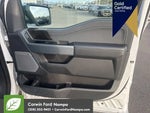 2023 F-150 Thumbnail 11