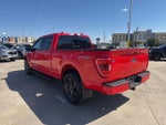 2023 F-150 Thumbnail 7