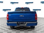 2023 F-150 Thumbnail 6