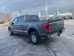 2023 F-150 Thumbnail 10