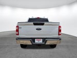 2023 F-150 Thumbnail 5