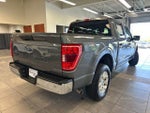 2023 F-150 Thumbnail 11