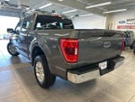 2023 F-150 Thumbnail 13