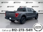 2023 F-150 Thumbnail 5