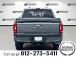 2023 F-150 Thumbnail 6