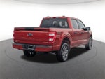 2023 F-150 Thumbnail 4