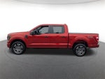 2023 F-150 Thumbnail 7