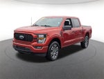 2023 F-150 Thumbnail 8