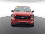 2023 F-150 Thumbnail 9