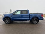 2023 F-150 Thumbnail 6