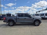 2023 F-150 Thumbnail 19