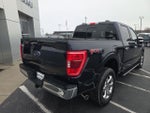 2023 F-150 Thumbnail 4