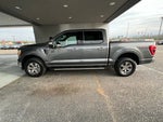2023 F-150 Thumbnail 5