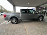 2023 F-150 Thumbnail 9