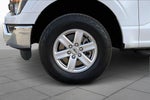 2023 F-150 Thumbnail 10
