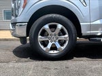 2023 F-150 Thumbnail 4